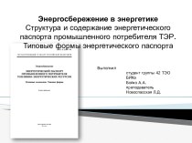 Структура и содержание энергетического паспорта промышленного потребителя ТЭР.