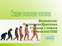 Стадии эволюции человека