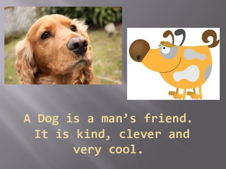 A Dog is a man’s friend.  It is kind, clever and very cool.