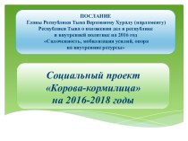 Социальный проектКорова-кормилицана 2016-2018 годы