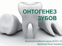 Онтогенез зубов