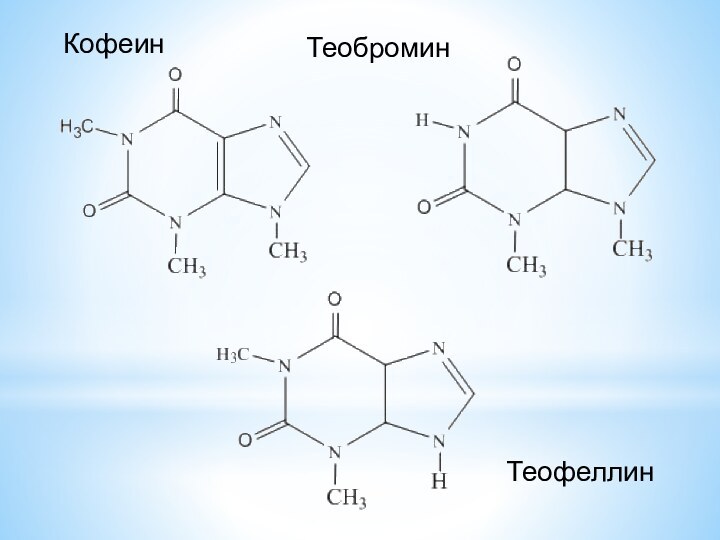 КофеинТеобромин Теофеллин