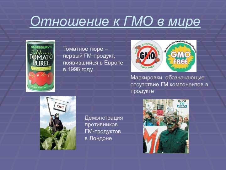 Отношение к ГМО в миреТоматное пюре – первый ГМ-продукт,появившийся в Европев 1996
