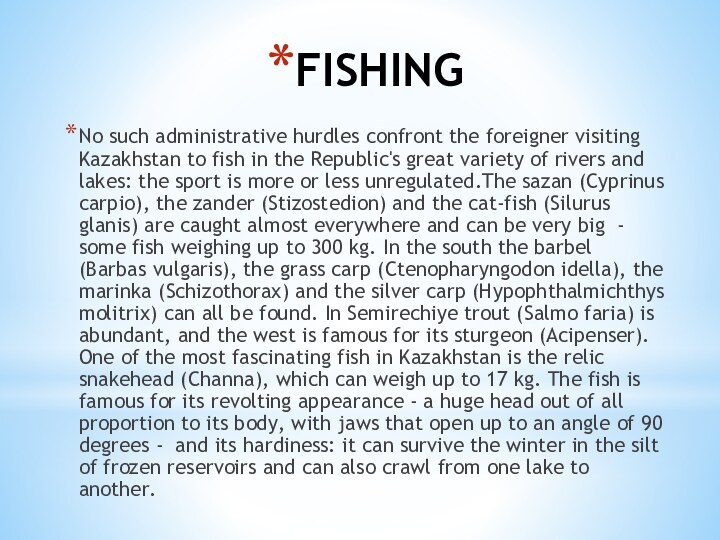 FISHINGNo such administrative hurdles confront the foreigner visiting Kazakhstan to fish in