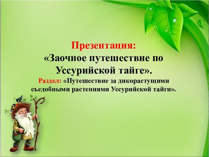 Презентация: «Заочное путешествие по Уссурийской тайге».Раздел: «Путешествие за дикорастущими съедобными растениями Уссурийской тайги».