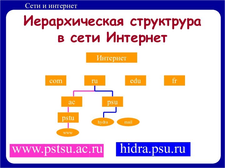 www.pstsu.ac.ruИерархическая структрура в сети ИнтернетИнтернетcomruedufracpsupstuwwwhydramailhidra.psu.ru