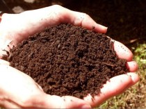 Почва: состав и свойства почвы