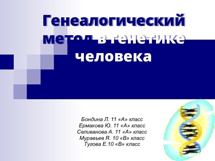 Генеалогический метод в генетике человекаБондина Л. 11 «А» классЕрмакова Ю. 11 «А»