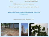 МГУЛНПСА ЗДОРОВЫЙ ЛЕСКафедра Лесоустройства и охраны лесаТехнология ухода за деревьями в урбанизированной среде