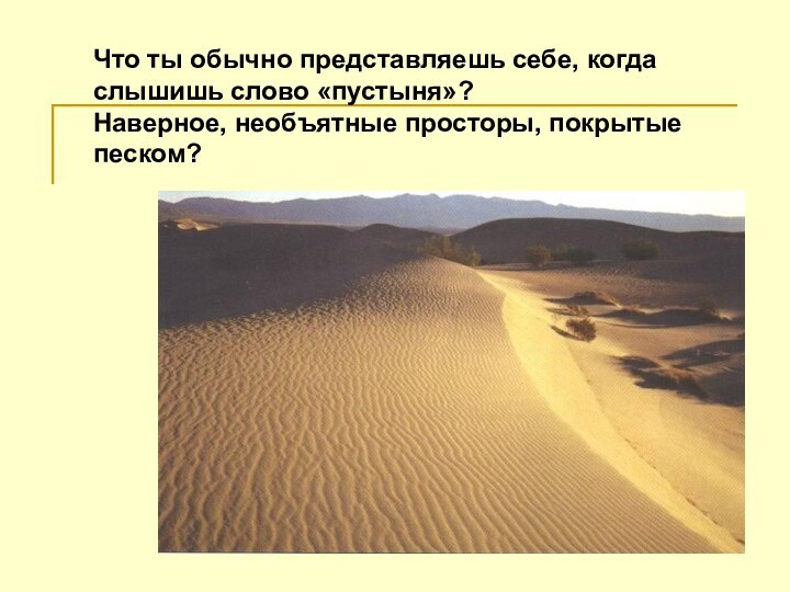Что ты обычно представляешь себе, когда слышишь слово «пустыня»? Наверное, необъятные просторы, покрытые песком?