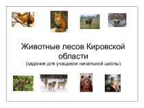 Животные лесов Кировской области