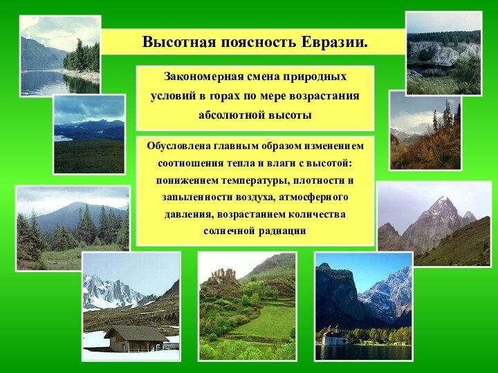Высотная поясность Евразии.Закономерная смена природных условий в горах по мере возрастания абсолютной