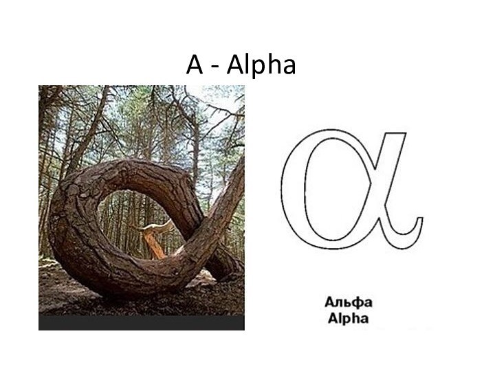 A - Alpha