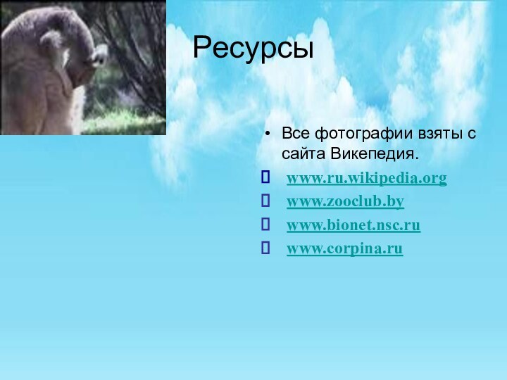 Ресурсы Все фотографии взяты с сайта Викепедия.www.ru.wikipedia.orgwww.zooclub.bywww.bionet.nsc.ruwww.corpina.ru