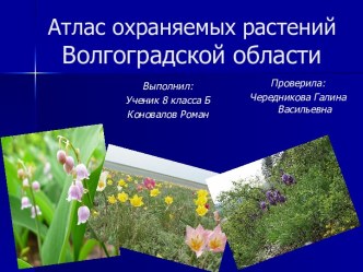 Атлас охраняемых растений Волгоградской области