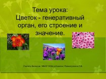 Цветок - генеративный орган