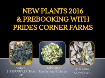 New plants 2016 & prebooking with prides corner farms