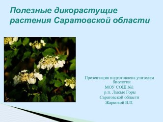 Полезные дикорастущие растения Саратовской области
