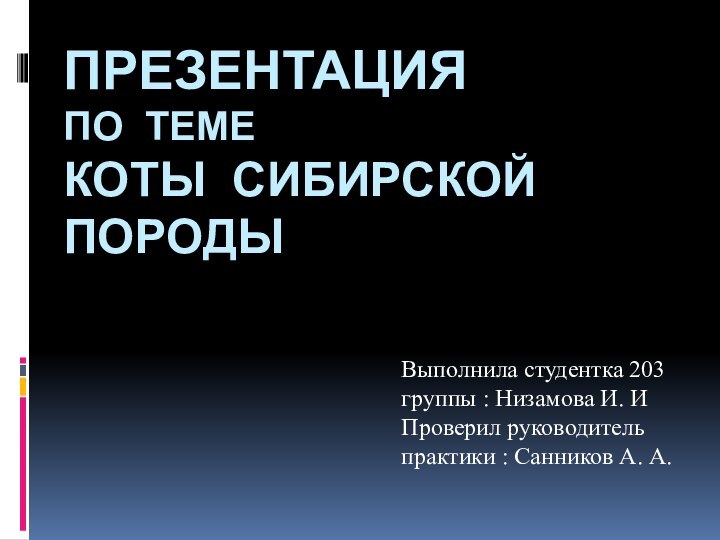Презентация  по теме Коты сибирской породыВыполнила студентка 203 группы : Низамова