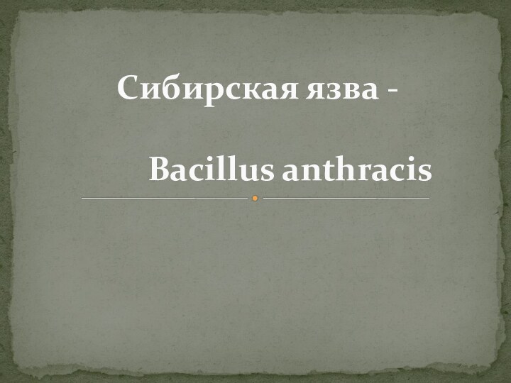 Сибирская язва -       Bacillus anthracis