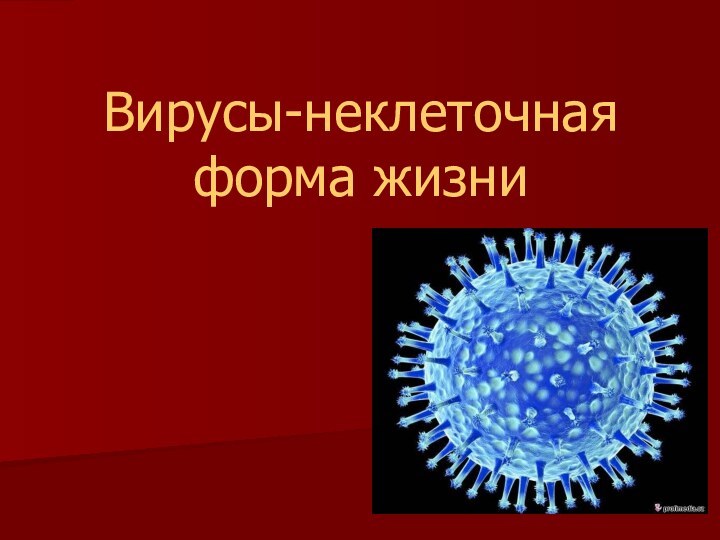 Вирусы-неклеточная форма жизни