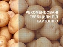 Рекомендовані гербіциди під картоплю