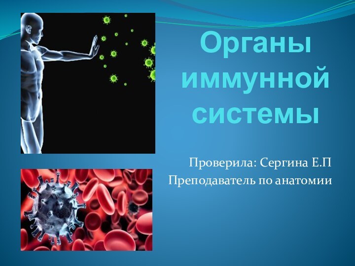 Органы иммунной системыПроверила: Сергина Е.ППреподаватель по анатомии