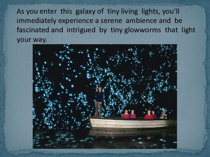 As you enter this galaxy of tiny living lights, you'll immediately experience