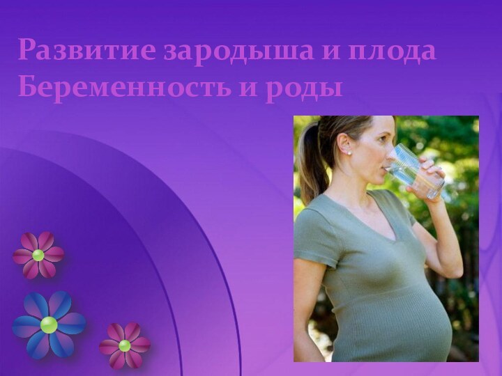 Развитие зародыша и плода  Беременность и роды