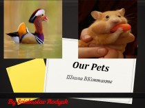 Our pets