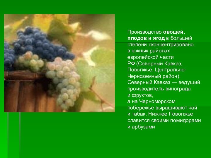 Производство овощей, плодов и ягод в большей степени сконцентрировано в южных районах европейской части РФ (Северный