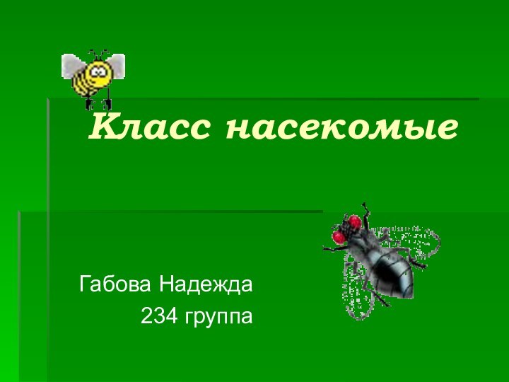 Класс насекомыеГабова Надежда234 группа