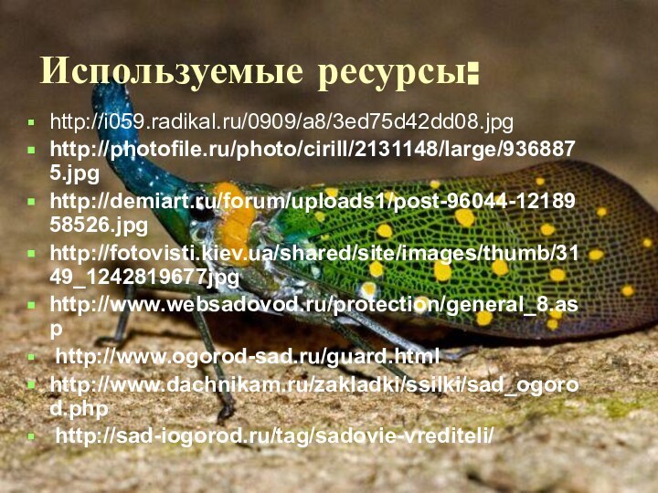 Используемые ресурсы:http://i059.radikal.ru/0909/a8/3ed75d42dd08.jpg http://photofile.ru/photo/cirill/2131148/large/9368875.jpg http://demiart.ru/forum/uploads1/post-96044-1218958526.jpg http://fotovisti.kiev.ua/shared/site/images/thumb/3149_1242819677jpg http://www.websadovod.ru/protection/general_8.asp http://www.ogorod-sad.ru/guard.html http://www.dachnikam.ru/zakladki/ssilki/sad_ogorod.php http://sad-iogorod.ru/tag/sadovie-vrediteli/