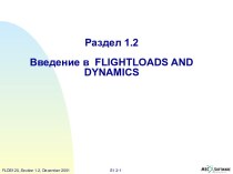 Программа MSC.Flightloads