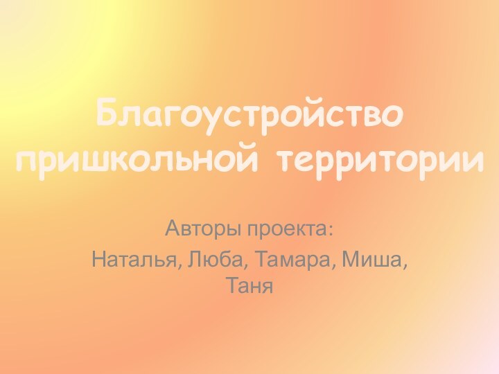Авторы проекта:Наталья, Люба, Тамара, Миша, ТаняБлагоустройствопришкольной территории
