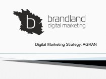 Digital Marketing Strategy - Agran
