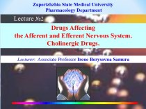 Drugs affecting the afferent and efferent nervous system. Cholinergic drugs