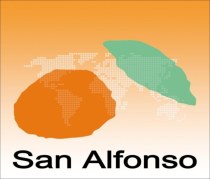 Компания San Alfonso. Производство и реализация цитрусовых