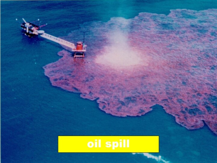 oil spill