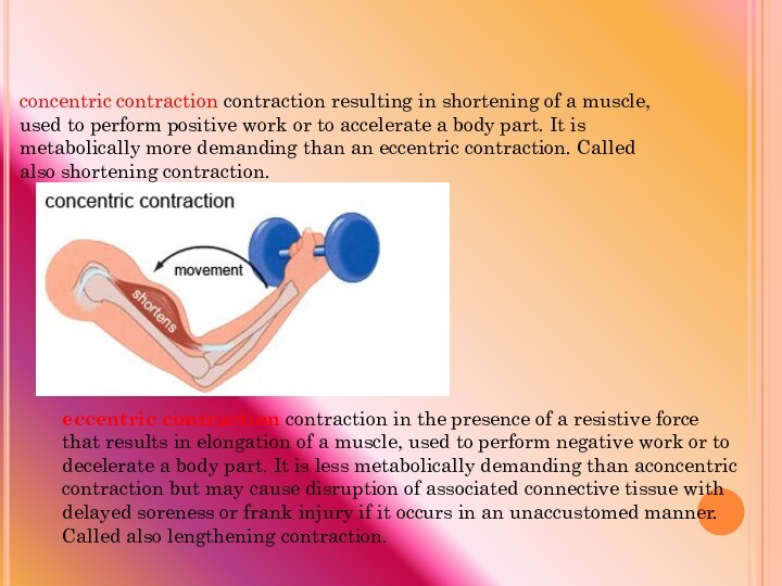 concentric contraction contraction resulting in shortening of a muscle, used to perform positive