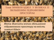 Зимівля бджіл у вуликах із збільшеним підрамковим простором