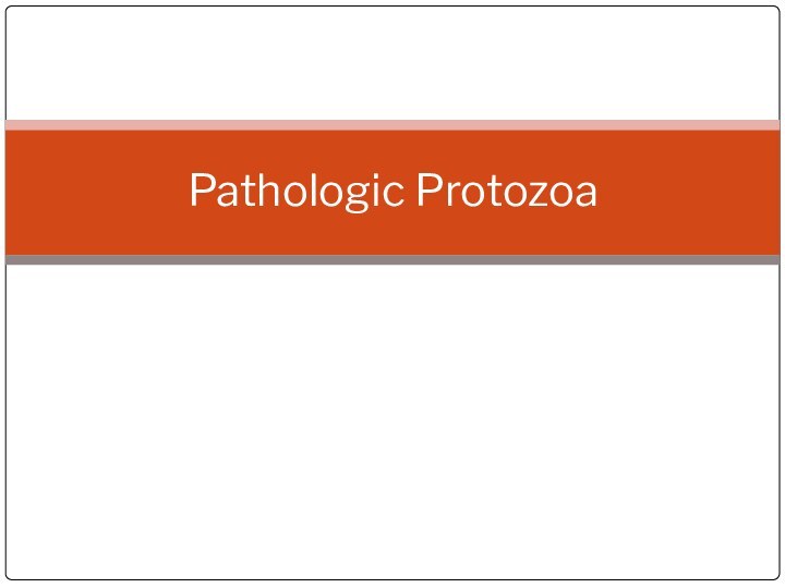 Pathologic Protozoa