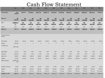 Cash flow statement. (1)