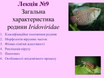 Загальна характеристика родини Iridoviridae