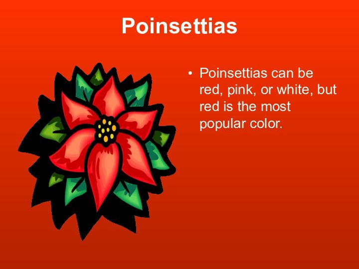 PoinsettiasPoinsettias can be red, pink, or white, but red is the most popular color.