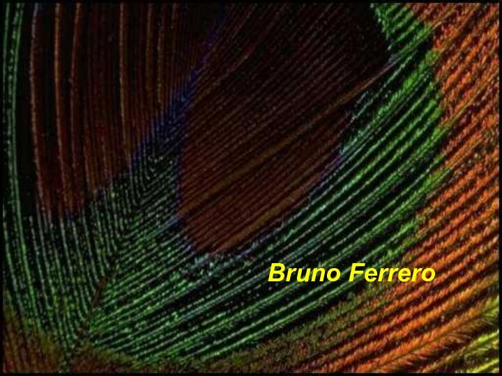 Bruno Ferrero