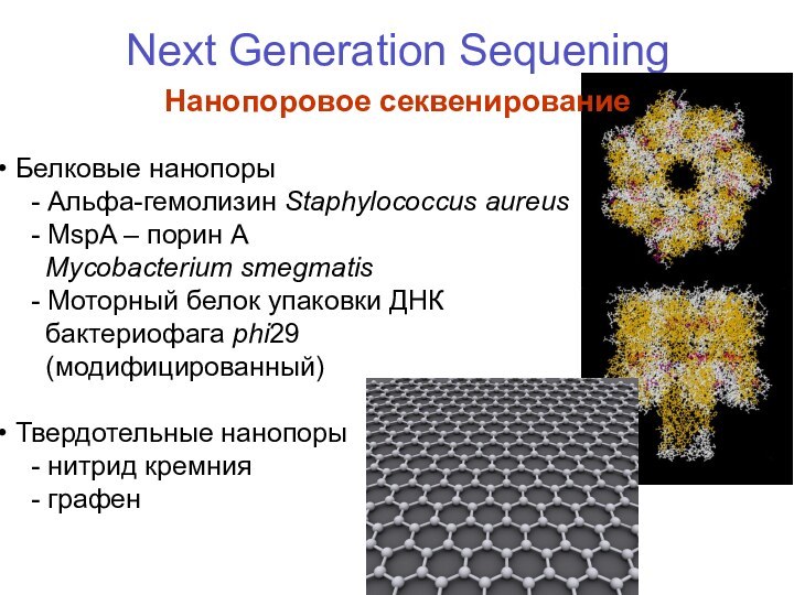 Next Generation SequeningНанопоровое секвенирование Белковые нанопоры  - Альфа-гемолизин Staphylococcus aureus