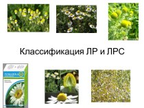 Классификация лекарственных растений (ЛР) и лекарственного растительного сырья (ЛРС)