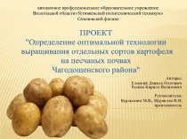 Определение оптимальной технологии выращивания отдельных сортов картофеля на песчаных почвах Чагодыщенского района