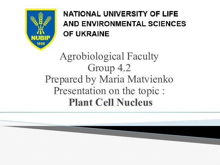 Agrobiological FacultyGroup 4.2Prepared by Maria MatvienkoPresentation on the topic : Plant Cell Nucleus